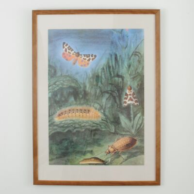 Tablice entomologiczne, Czechosłowacja, lata 80.